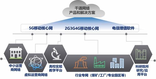 打通vonr是什么意思